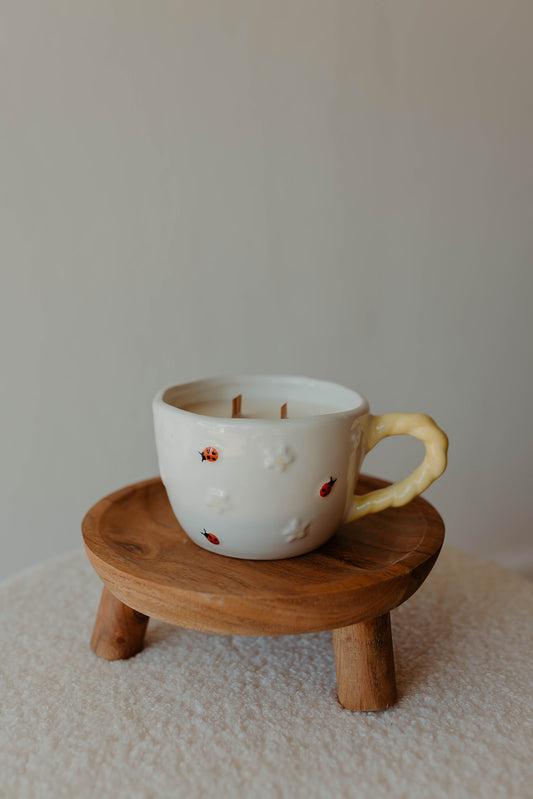 Lady Bug & Daisy Mug Candle